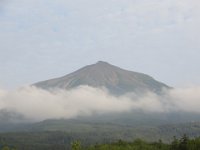 img (88)
